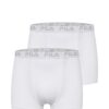 FILA Boxeralsók  szürke / fehér-hu