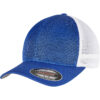 FLEXFIT 360 OMNIMESH 2-TONE Cap Royal/White