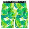 Férfi alsónadrág Lee Cooper