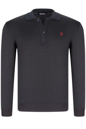 Férfi ingpóló dewberry Férfi ingpóló dewberry