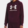 Férfi kapucnis pulóver Under Armour