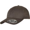 Flexfit 110 Curved Visor Snapback Dark Grey