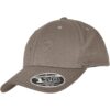 Flexfit 110 Curved Visor Snapback Grey
