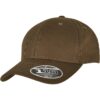 Flexfit 110 Curved Visor Snapback Olive
