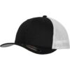 Flexfit Mesh Trucker 2-Tone blk/wht
