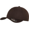 Flexfit Pinstripe bro/wht