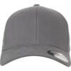 Flexfit Sapkák 'Brushed Twill'  szürke