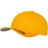 Flexfit Wooly Brushed Gold