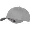 Flexfit Wooly Brushed Silver