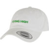 Flying High Dad white cap