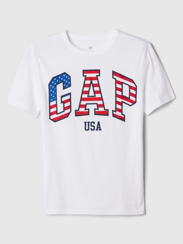 GAP Children's T-shirt USA - Boys