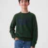 GAP Children's sweater with logo - Boys