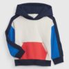 GAP Kids Hoodie - Boys