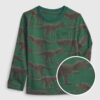 GAP Kids T-shirt dino organic - Boys
