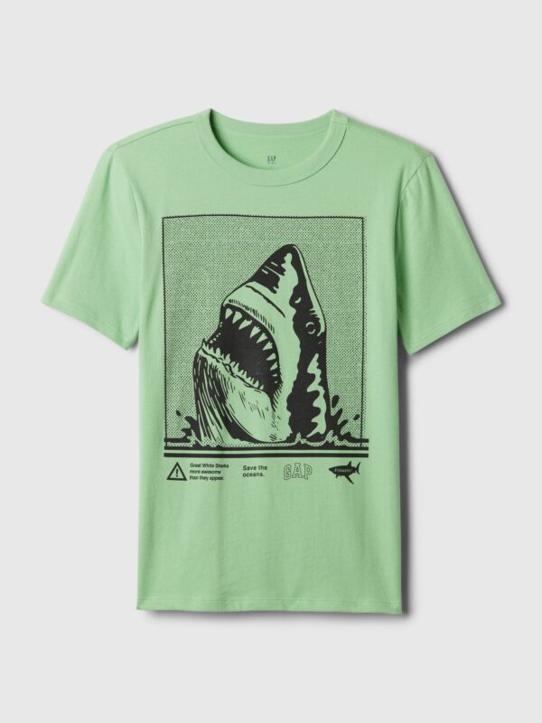 GAP Kids' T-shirt with print - Boys