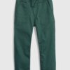GAP Kids canvas pants carpenter - Boys