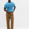 GAP T-shirt with tropical logo - Men