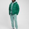 GAP Winter Hooded Jacket - Men