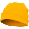 Gold Cap in Heavyweight