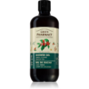 Green Pharmacy Green coffee & Ginger Oil Shower Gel tusfürdő gél 500 ml-Ár