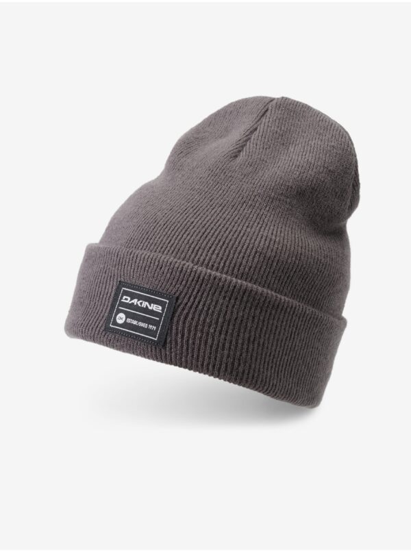 Grey ribbed winter beanie Dakine Cutter - Men