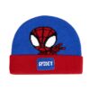 HAT DOT APPLICATIONS SPIDEY