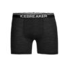 ICEBREAKER Boxeralsók 'Anatomica'  fekete / fekete melír / fehér-hu