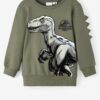 Khaki boys' sweatshirt name it Jairi Jurassic - Boys
