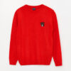 LC Waikiki Crew Neck Long Sleeve Boy's Knitwear Sweater