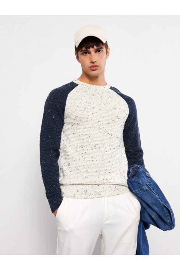 LC Waikiki Crew Neck Long Sleeve Color Block Men's Knitwear Sweater
