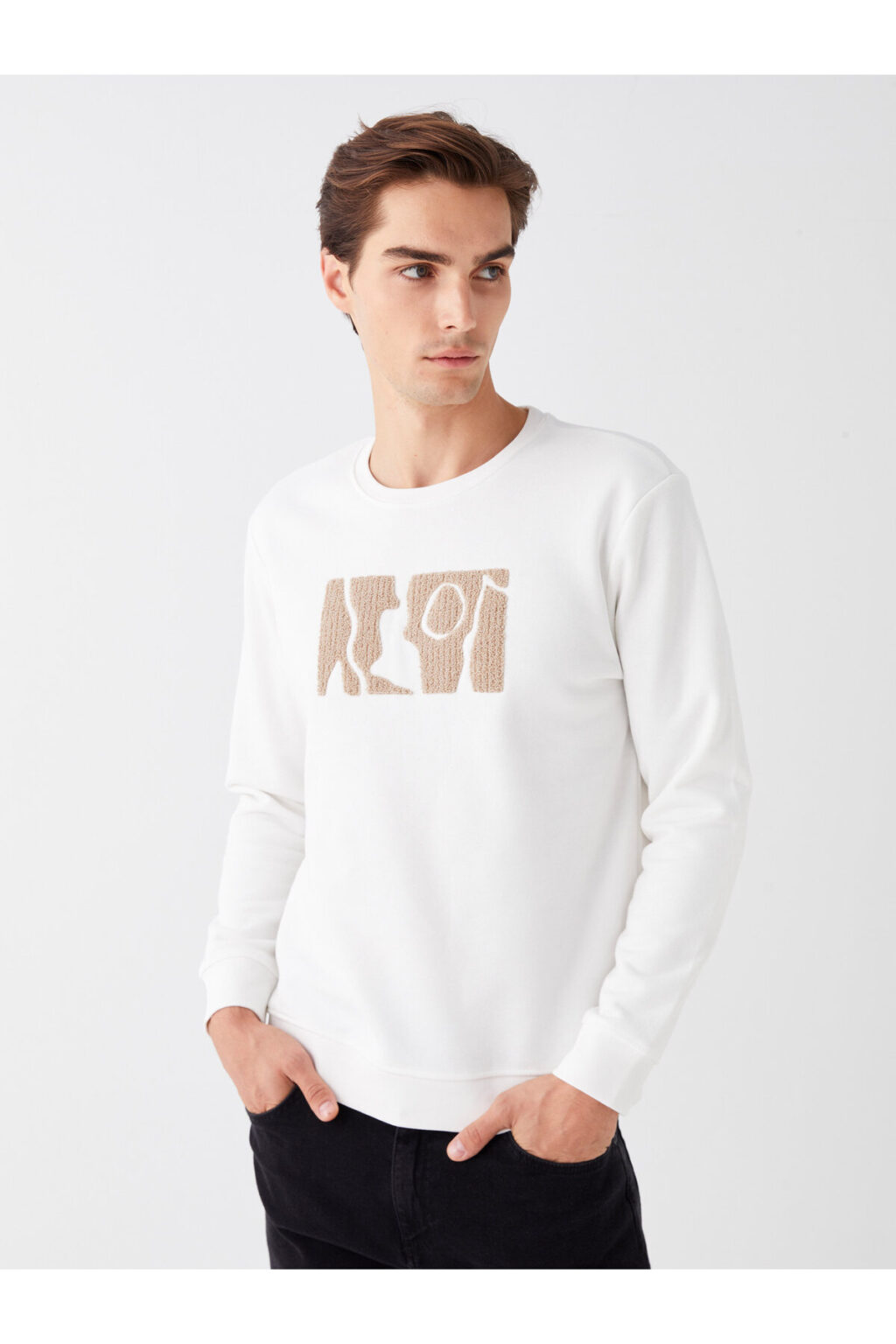 LC Waikiki Crew Neck Long Sleeve Printed Men's Sweatshirt