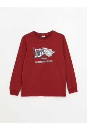LC Waikiki Crew Neck Printed Long Sleeve Boys' T-Shirt