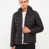 LC Waikiki Standard Mold Hooded Men's Puffer Coat