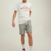 Light Green Annealed Chino Shorts Jack & Jones Sky - Men