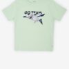 Light Green Boys T-Shirt Tom Tailor - Boys