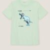 Light green boys' t-shirt Tom Tailor - Boys