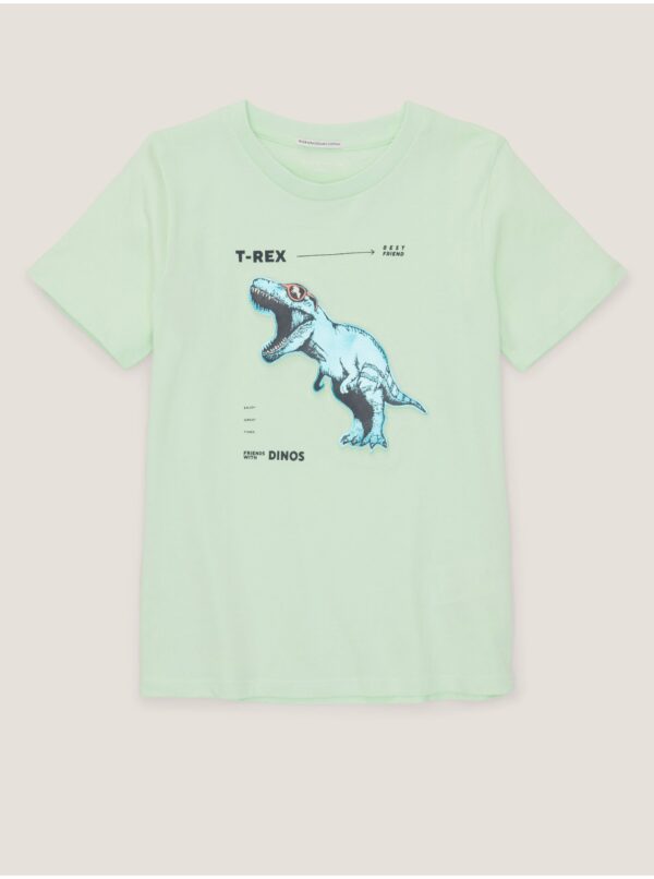 Light green boys' t-shirt Tom Tailor - Boys