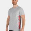 Light grey men's T-shirt with SAM 73 print
