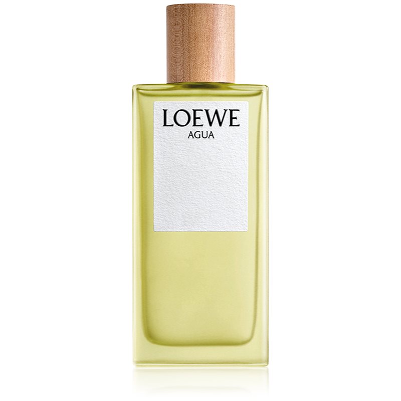 Loewe Agua Eau de Toilette unisex 100 ml-Ár