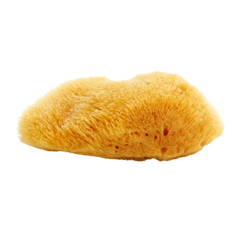 Magnum Natural karib-tengeri szivacs 10- 12 cm-Eredeti