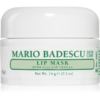 Mario Badescu Lip Mask with Acai and Vanilla éjszakai maszk az ajkakra 14 g-Ár