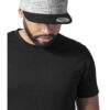 Melange Crown Snapback Stripes blk/grey