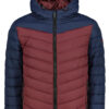 Men's winter jacket Frogies