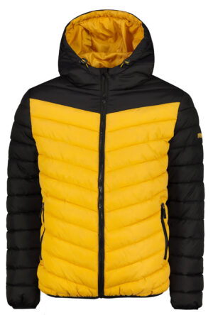 Men's winter jacket Frogies
