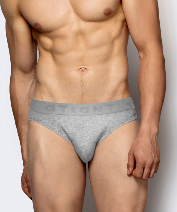 Men's Bamboo Briefs ATLANTIC 2Pack - gray