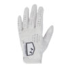 Men's Golf Glove Under Armour Tour Golf Glove