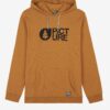 Men's Mustard Hoodie Picture - Men