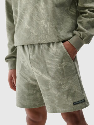Men's Shorts 4F