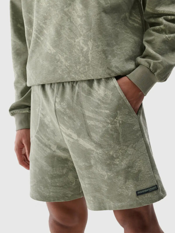 Men's Shorts 4F