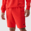 Men's Shorts 4F